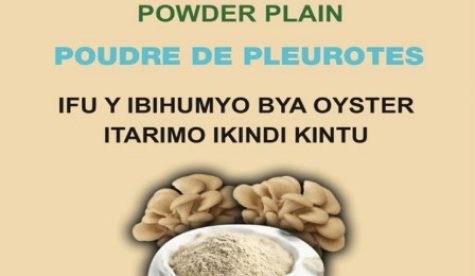 Screenshot 2026-02-11 151213